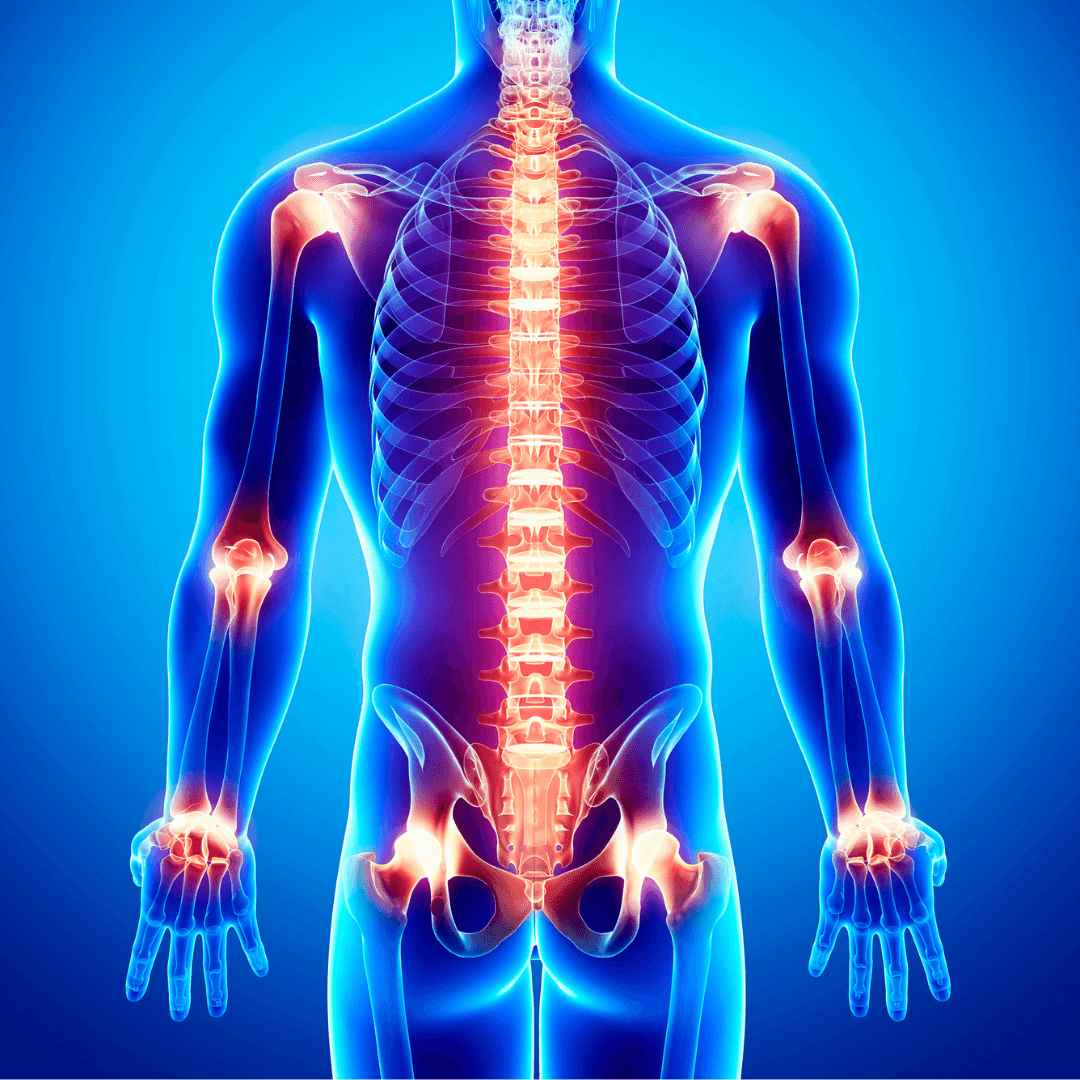 A glowing anatomical skeleton against blue; REVA Multifunctional Infrared Heat is not visible.