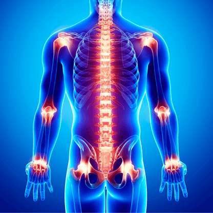 A glowing anatomical skeleton against blue; REVA Multifunctional Infrared Heat is not visible.
